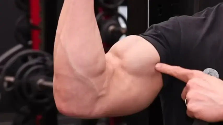 Fazit: Weniger Filter, mehr Wiederholungen – und ein Auge auf Myostatin